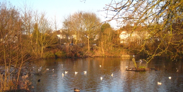 Epsom Common